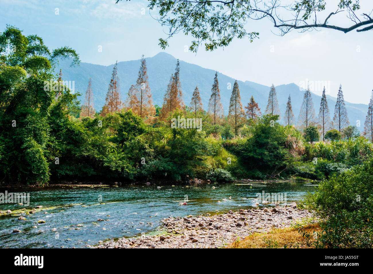 Sunlight scenic scenery hi-res stock photography and images - Alamy