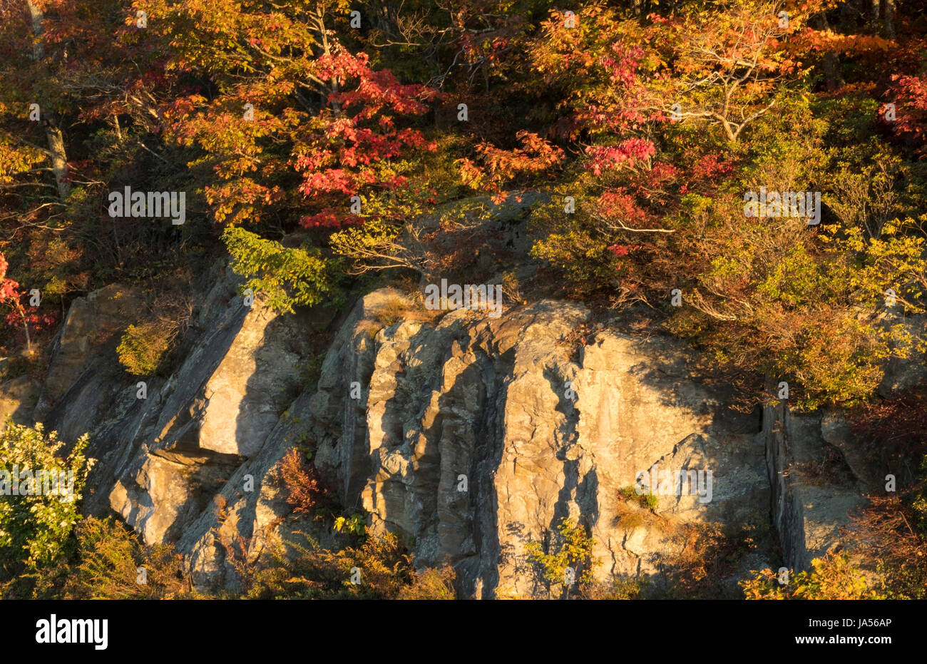 Brevard North Carolina near Asheville Fall Colors Blue Ridge Highway cliffs Stock Photo