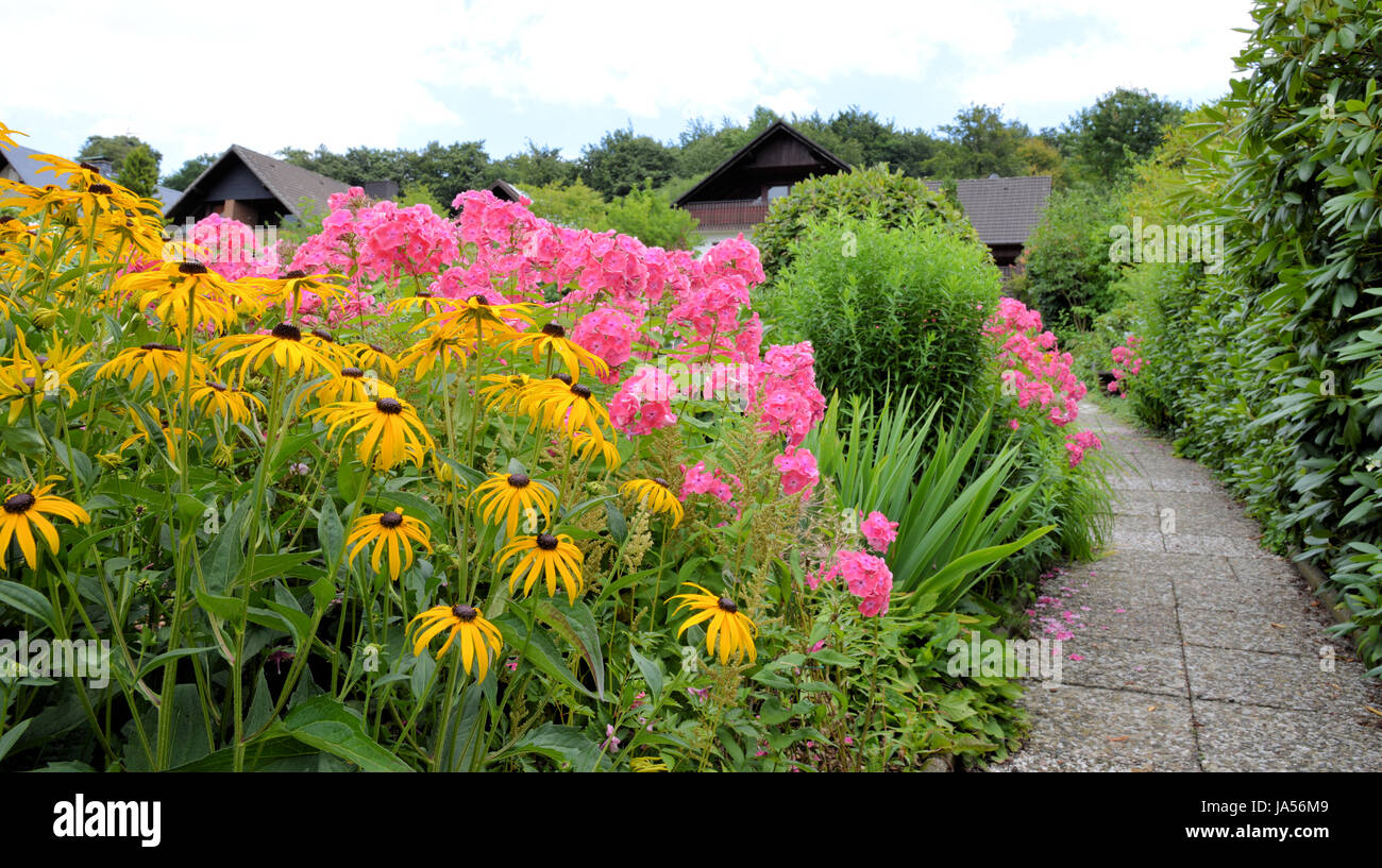 garden, gardens, sun shade, garden-path, garden, green, flower, flowers, plant, Stock Photo