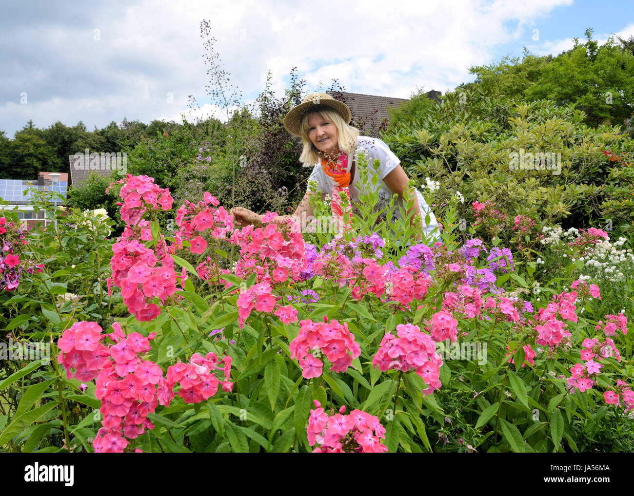 woman, garden, gardens, shrub, shrubs, garden maintenance, woman, garden, Stock Photo