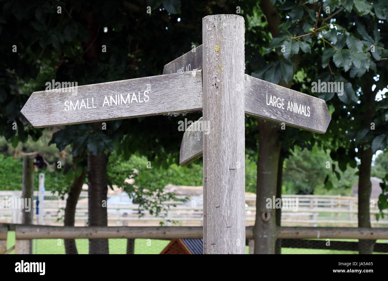 June 4, 2017 A sign in a farm showing directions to animals Stock