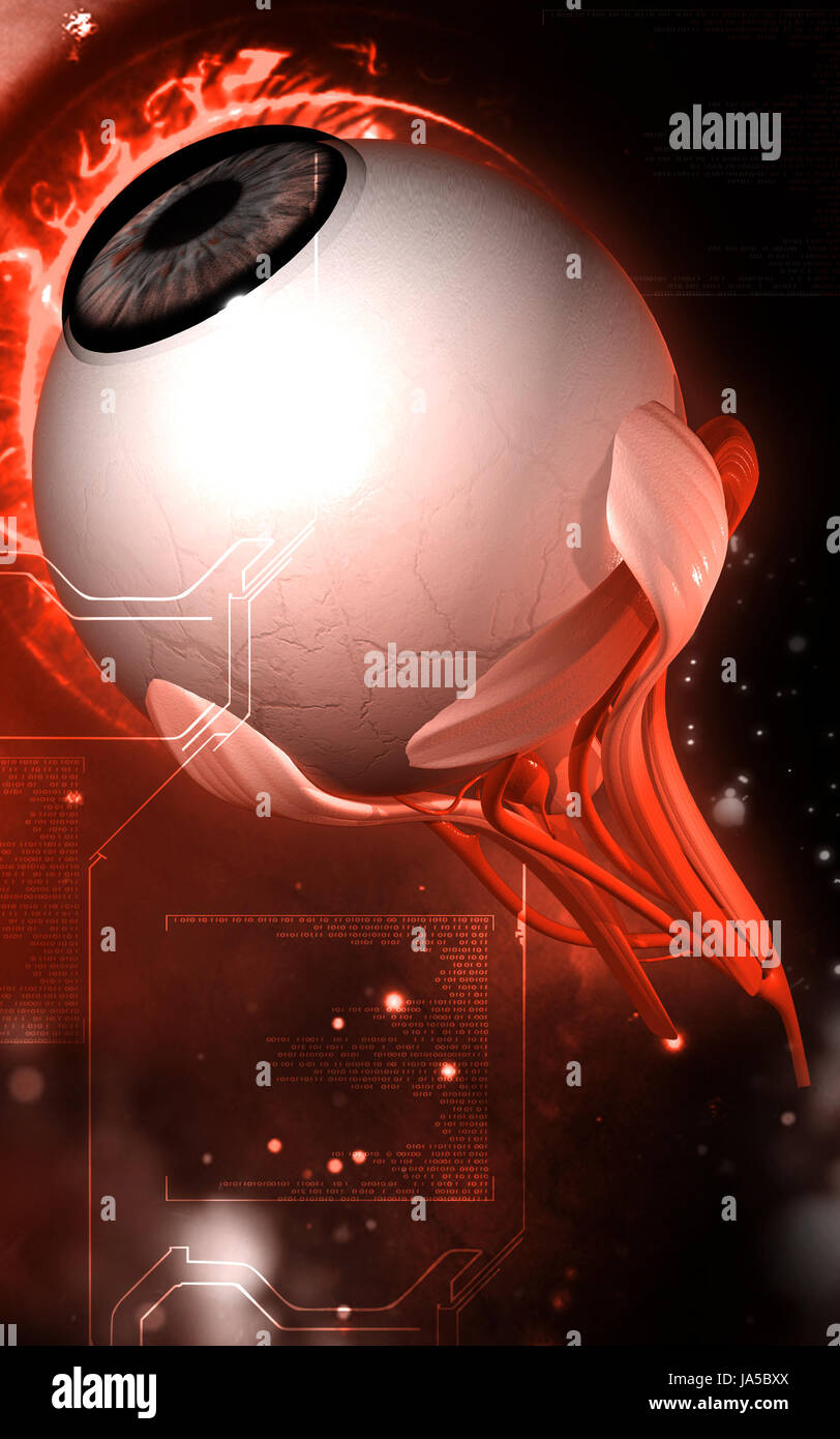 health, medicinally, medical, graphics, colour, illustration, pupil ...