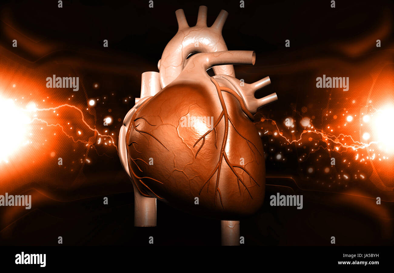 Circulation Graphics education, health, medicinally, medical, circulation, graphics, colour ...