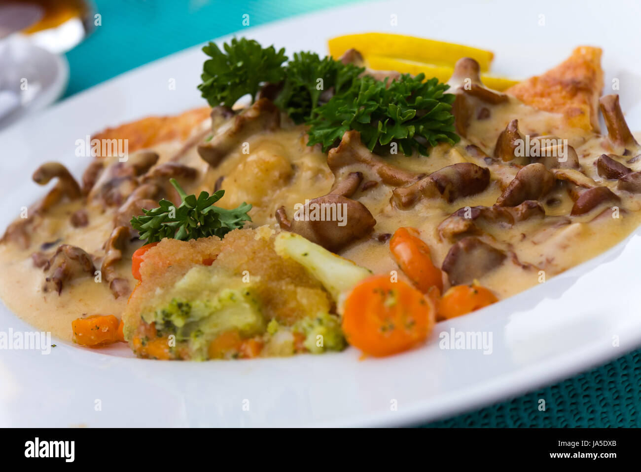 dining table, green, fish, disc, vegetable, gourmet, carrots, mushrooms, food, Stock Photo