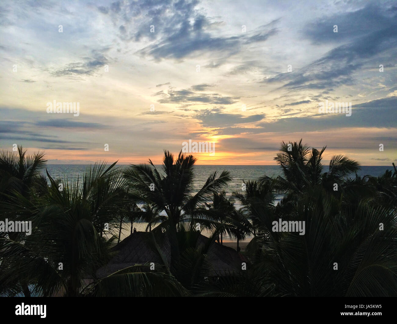 Sunset on tropical beach with palm trees Stock Photo - Alamy