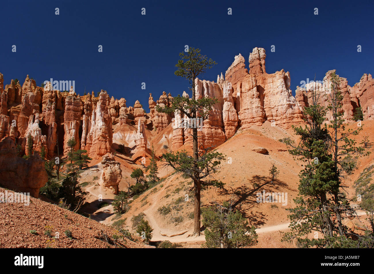 hoodoos in bryce canyon national park Stock Photo
