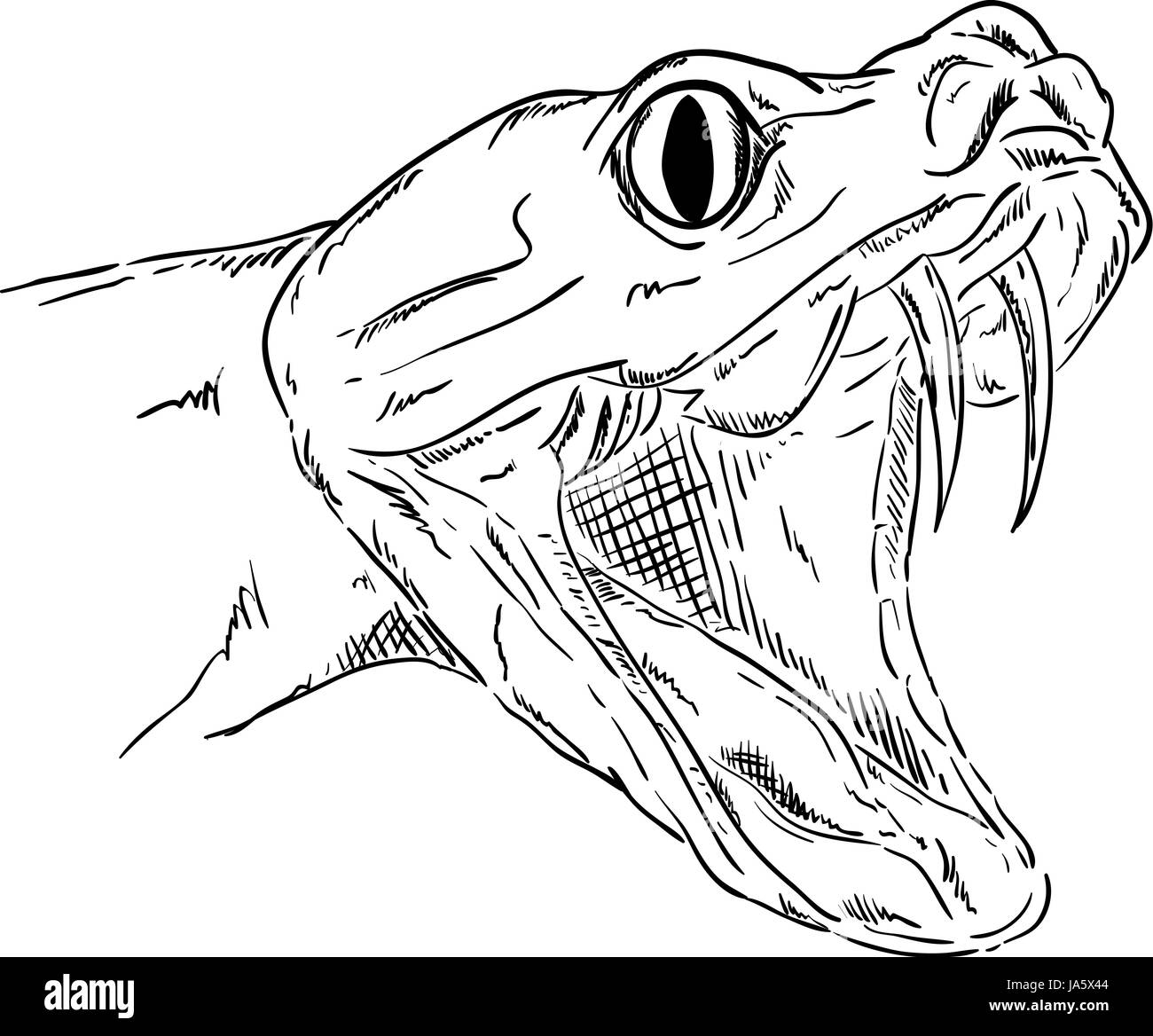 how to draw a realistic snake head