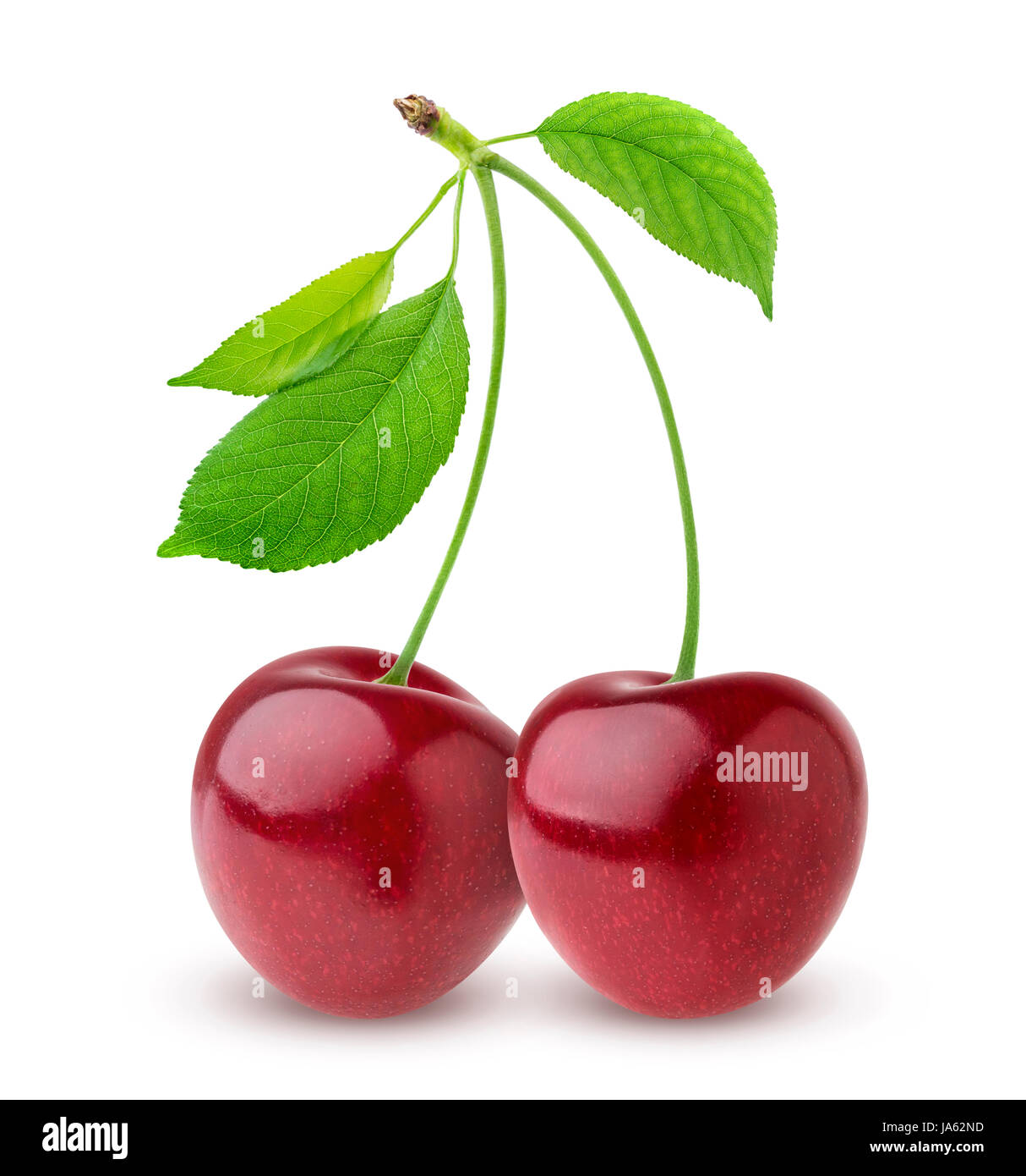 Cherry isolated on white background Stock Photo - Alamy