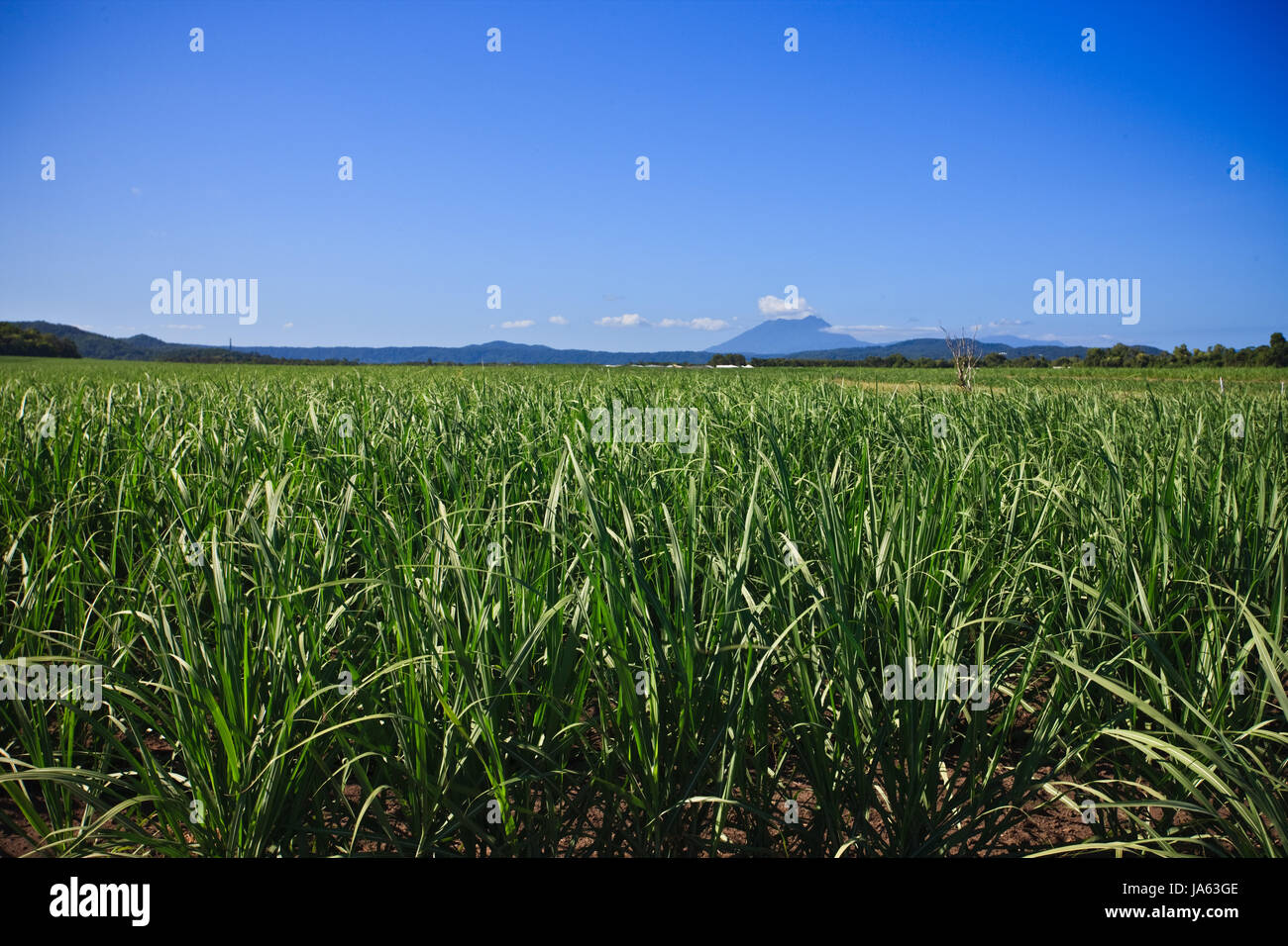 mountains, scene, location, site, nature, hut, home, blue, house, building, Stock Photo