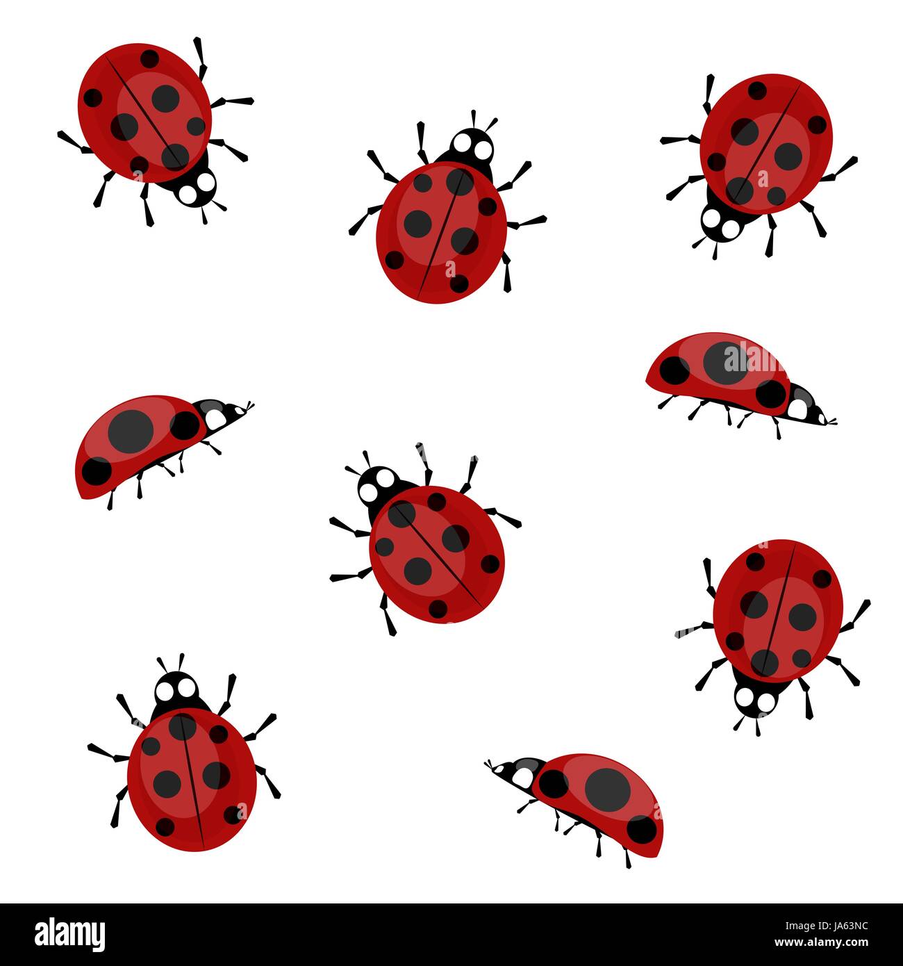 Ladybugs on a white background Stock Vector Image & Art - Alamy