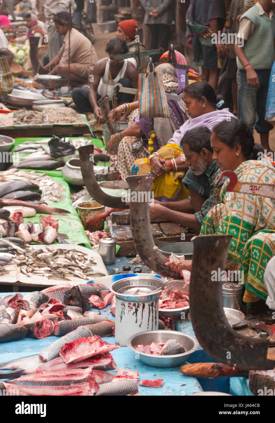 Fish market of calcutta hires stock photography and images Alamy