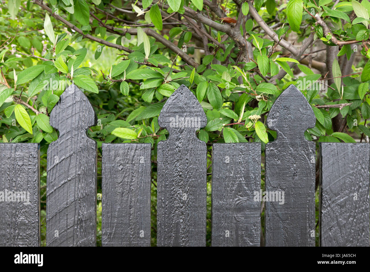 garden, border, protect, protection, fence, fence in, fencing, gardens