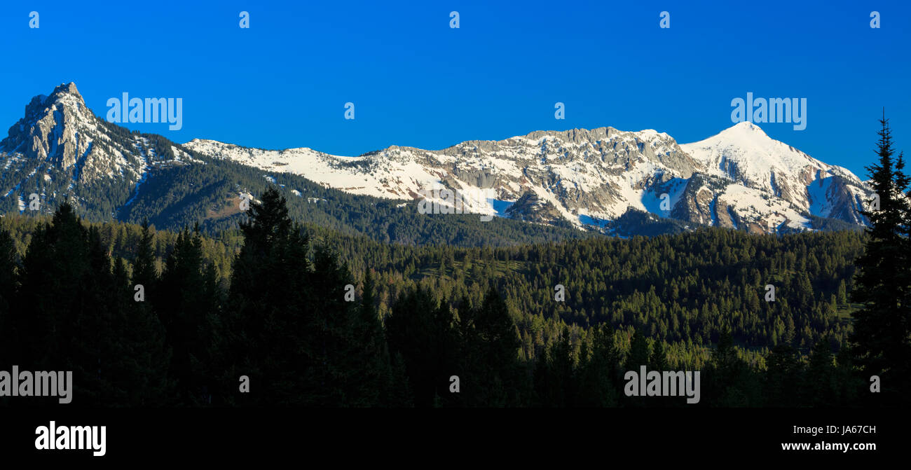 panorama of ross peak and sacagawea peak in the bridger range near