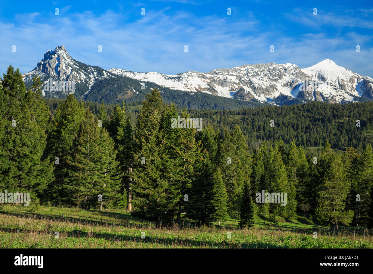 ross peak and sacagawea peak in the bridger range near bozeman, montana