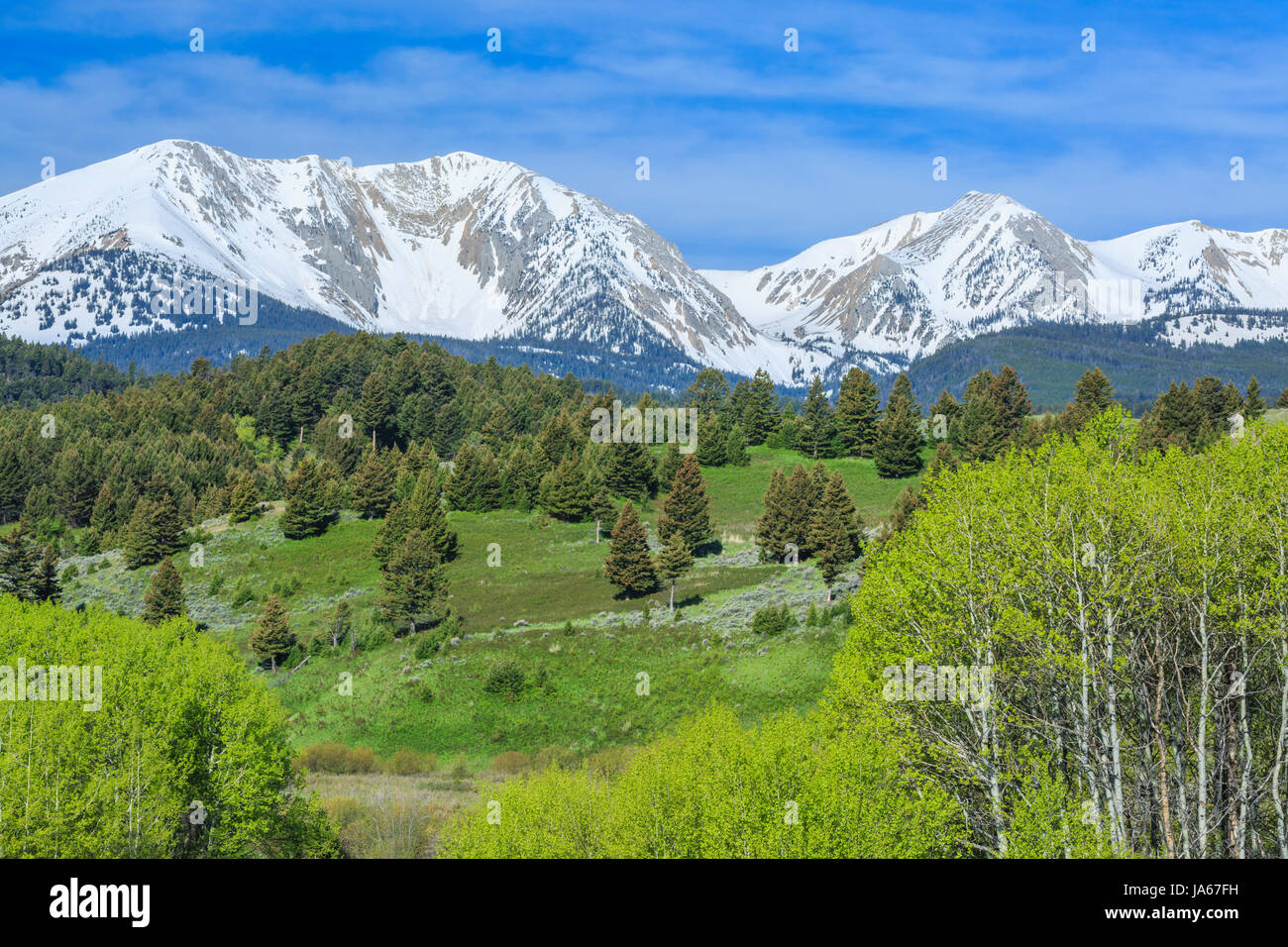 aspen and foothills below snow-capped sacagawea peak in the bridger range near bozeman, montana Stock Photo
