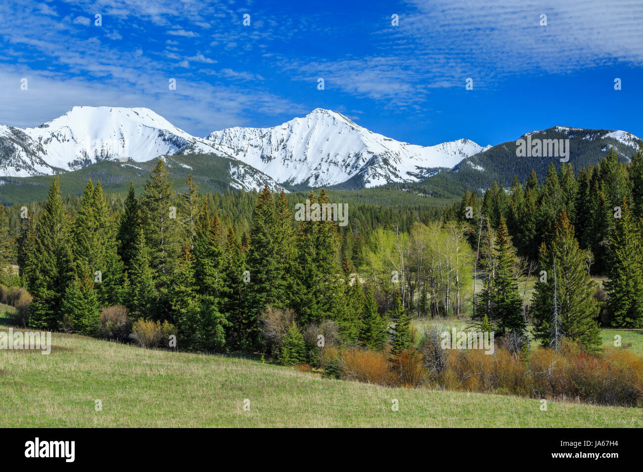 sunlight peak in the crazy mountains above the upper shields river