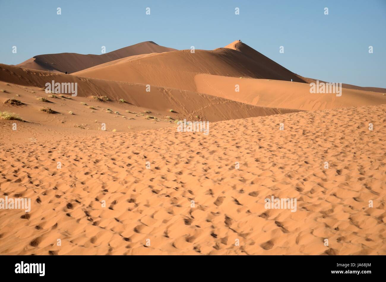 africa, namibia, dene, travel, desert, wasteland, africa, namibia, dryness, Stock Photo