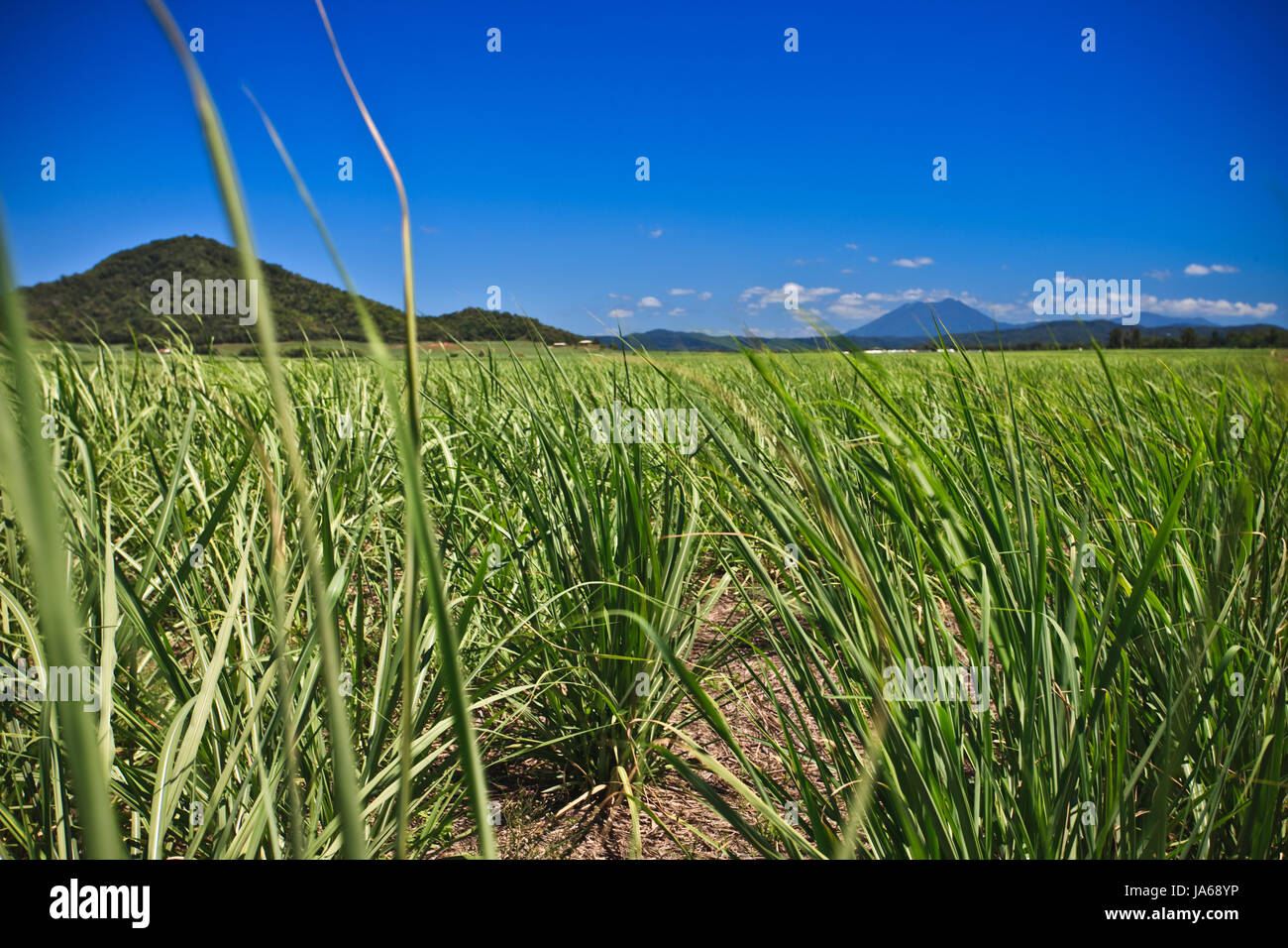 mountains, scene, location, site, nature, hut, home, blue, house, building, Stock Photo