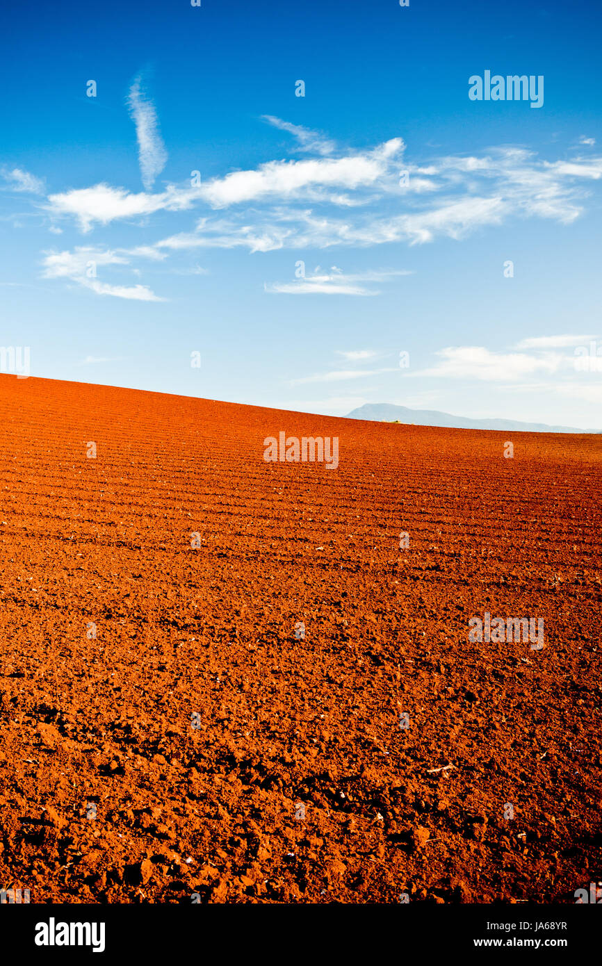 agriculture, farming, australia, acreage, blue, hill, horizon, space, desert, Stock Photo