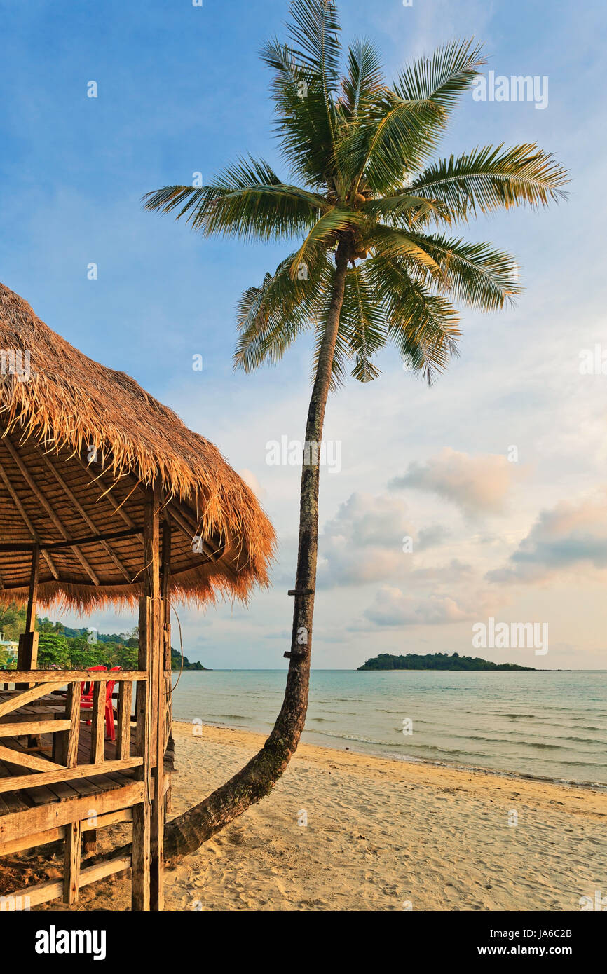 Palm at beach on sunset background. Thailand Stock Photo - Alamy