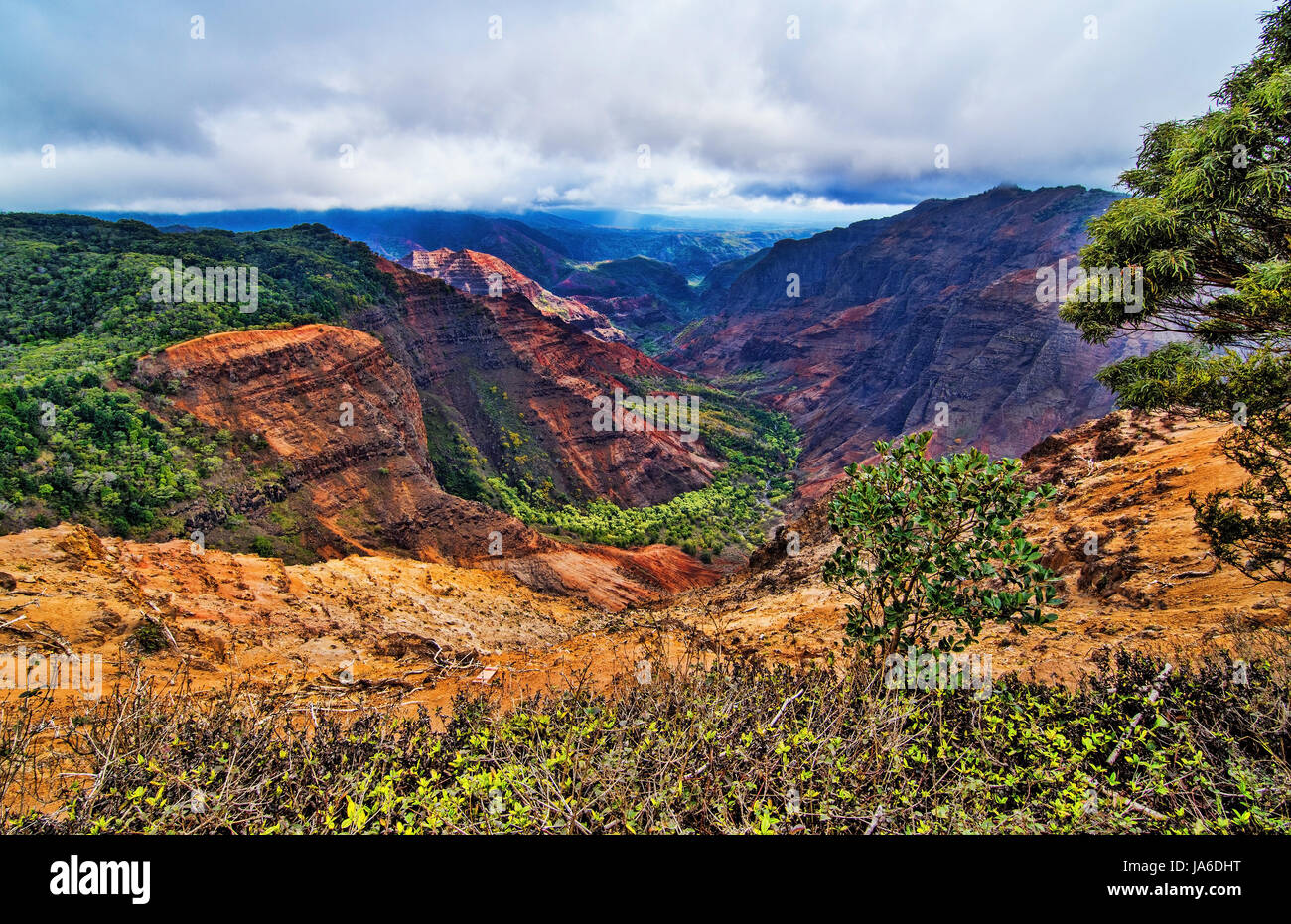Kauai Hawaii scenic Waimea Canyon State Park red cliffs from above canyon Stock Photo
