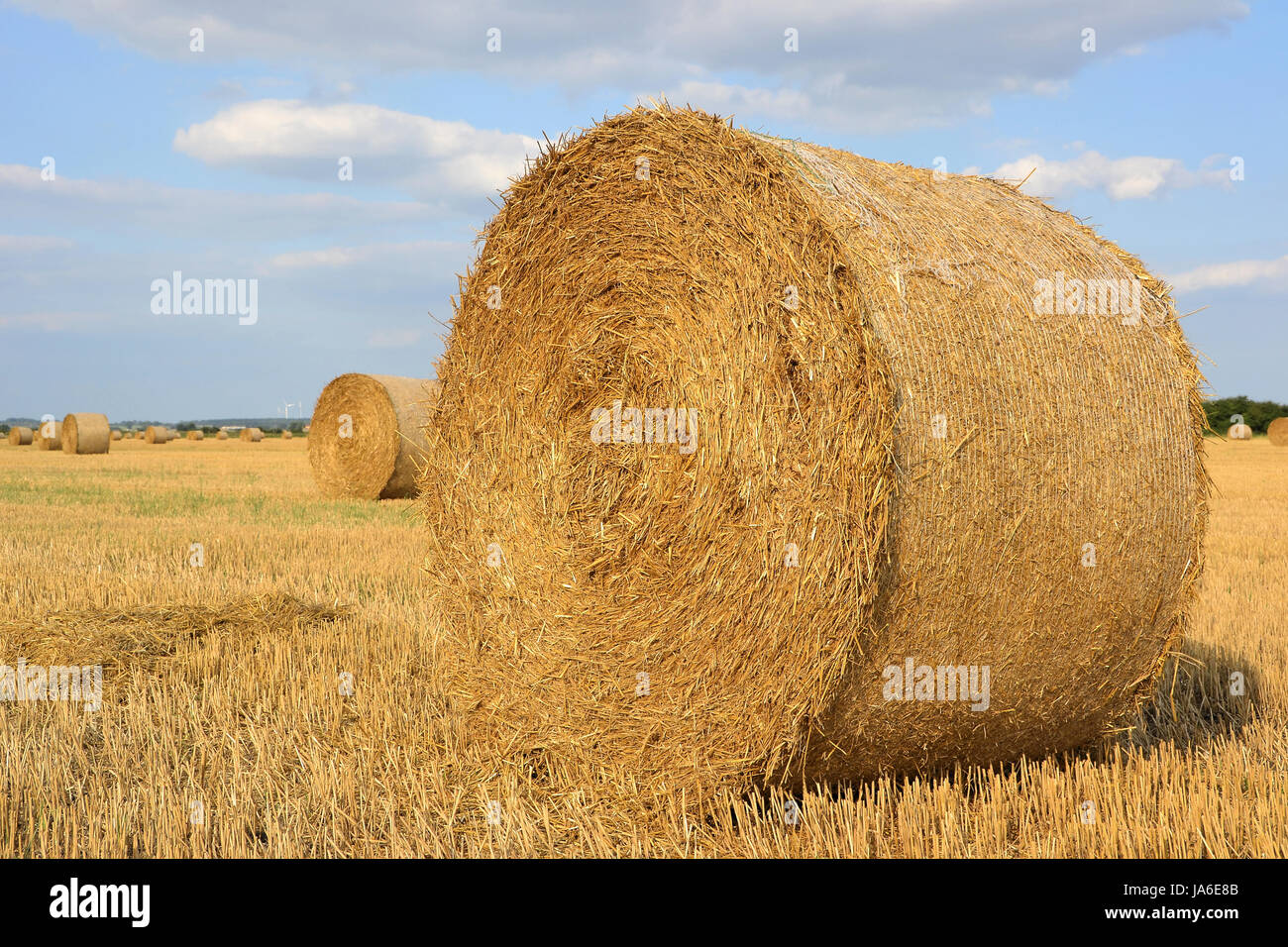 fodder, agriculture, farming, field, summer, summerly, acre, roll, farm ...