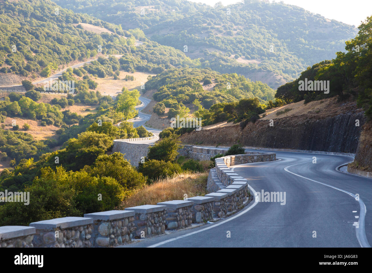 Mountainforest hi-res stock photography and images - Alamy