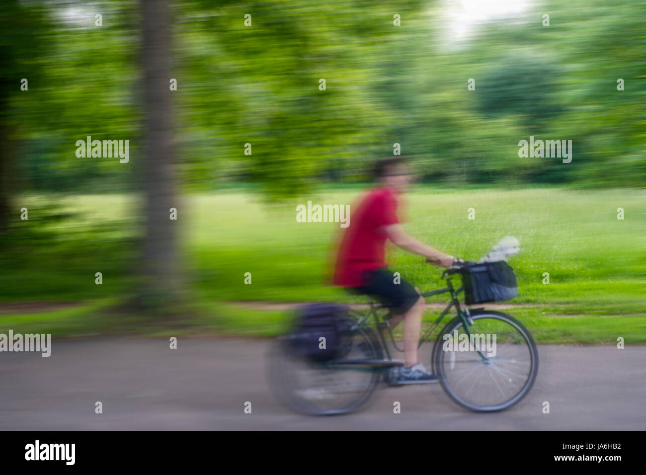 A tiny Maltese puppy rides as a passenger on a bike clearly enjoying the ride Stock Photo