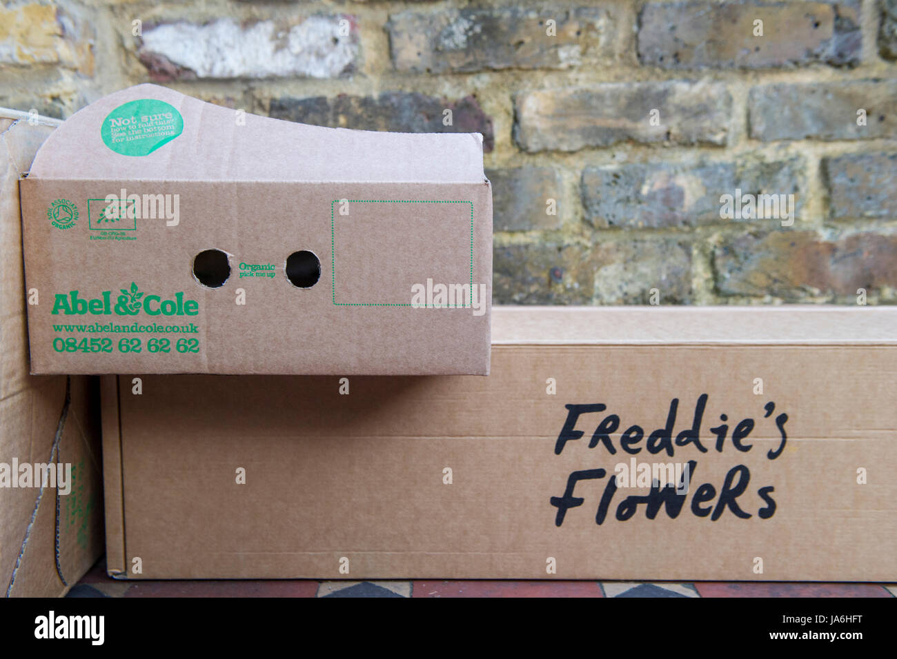 Freddies hi-res stock photography and images - Alamy