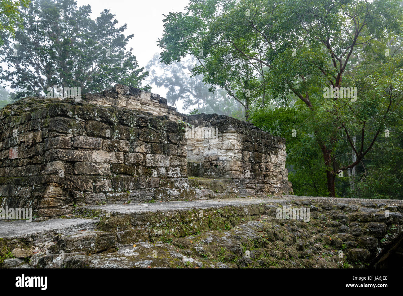 Mayan Ruins at Tikal National Park - Guatemala Stock Photo