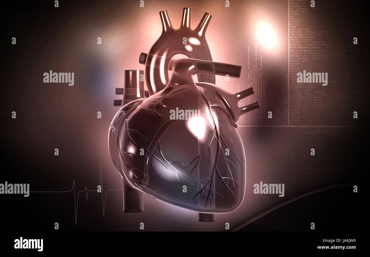 Circulation Graphics education, health, medicinally, medical, circulation, graphics, colour ...