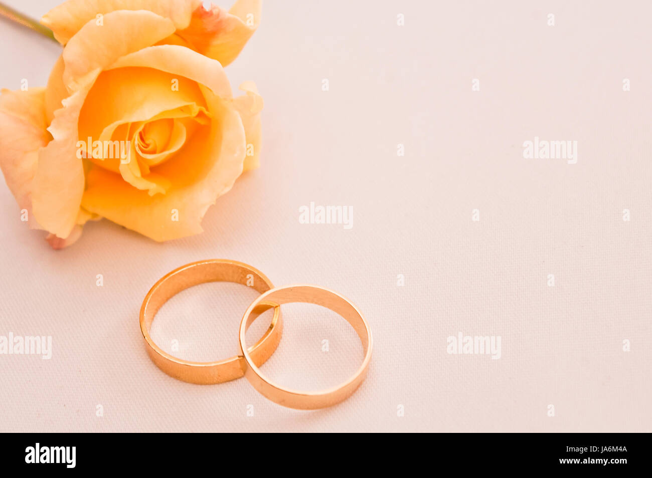 present, ring, arrangement, art, flower, plant, rose, romantic, wedding ...
