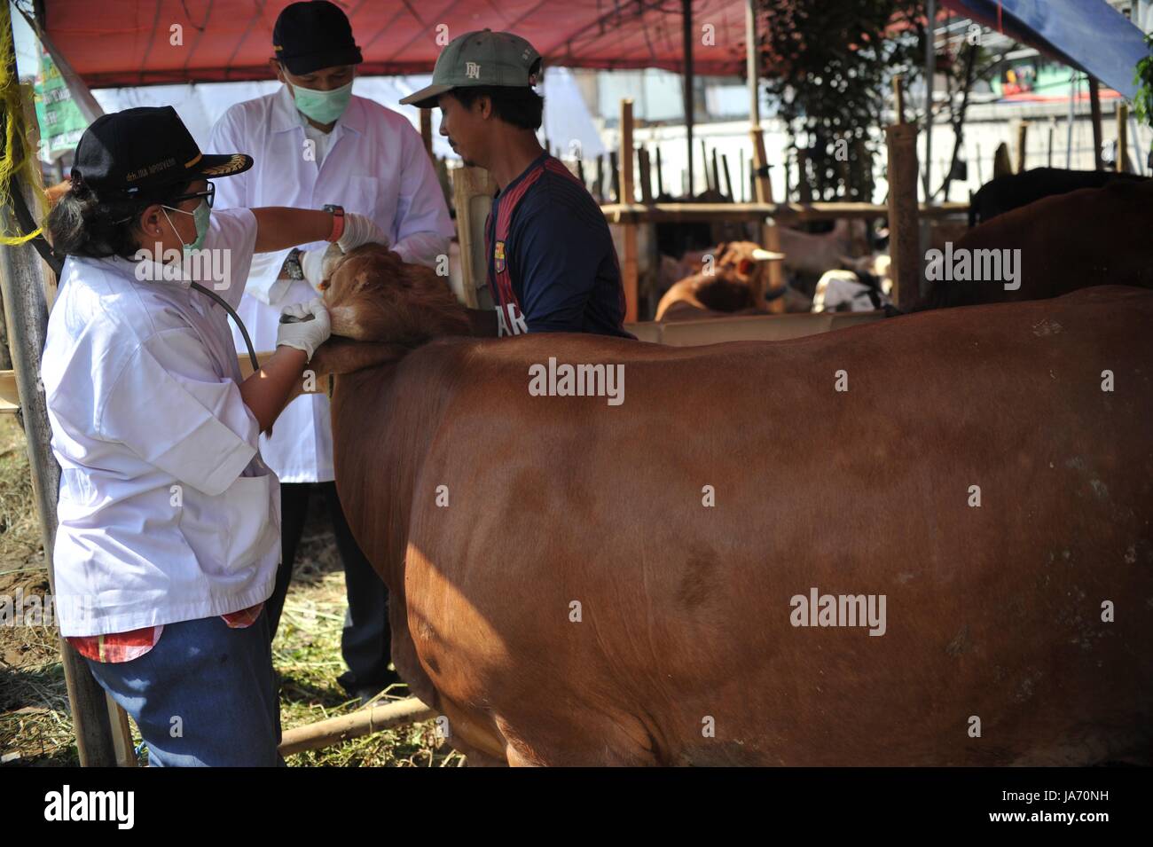 (170824) JAKARTA, Aug. 24, 2017 (Xinhua) Medical staff check the
