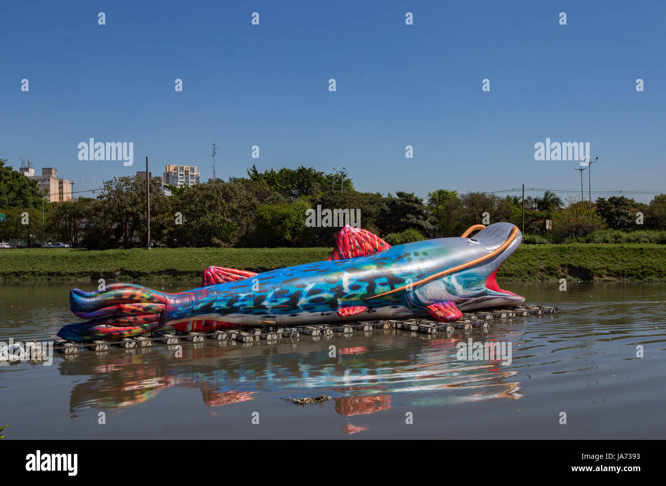 August 24, 2017 - Sao Paulo, Sao Paulo, Brazil - Artistic intervention at the Pinheiros River, southern area of Sao Paulo, Brazil, on Thursday (24). Work of the artist Eduardo Srur, seeks to draw attention to the pollution of the river and also has an installation at the Pinheiros train station, with sculptures made with material taken from the river. (Credit Image: © Paulo Lopes via ZUMA Wire) Stock Photo