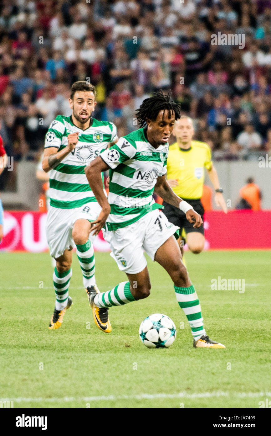 sporting champions 2017