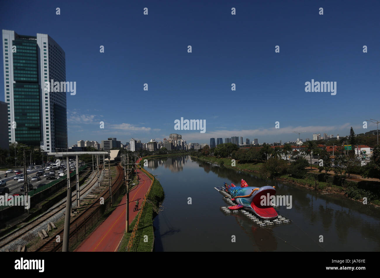 (170825) -- SAO PAULO, Aug. 25, 2017 (Xinhua) -- A representation of a giant fish, 30 meters long and 7 meters high, floats through the Pinheiros river, in Sao Paulo, Brazil, on Aug. 24, 2017. The floating urban intervention called 'Pintado' is a work of the Brazilian plastic artist Eduardo Srur, and is part of an event called 'Virada Sustentavel', that takes place on Aug. 24 to 27 in Sao Paulo, with the objetive of taking to society the actions related with sustainable living. (Xinhua/Rahel Patrasso) (da) (fnc) Stock Photo