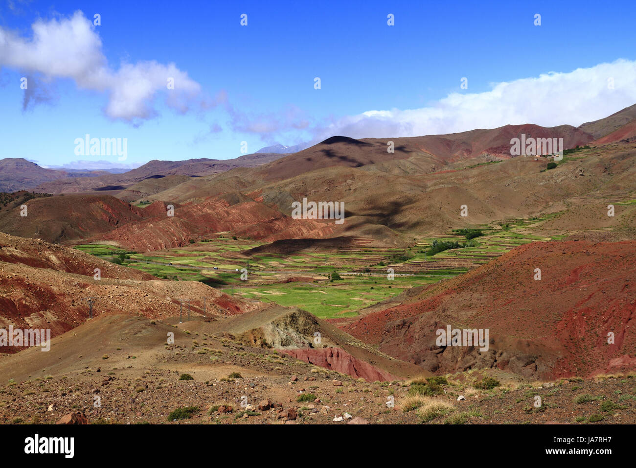 food, aliment, city, town, tree, trees, hill, mountains, desert, wasteland, Stock Photo