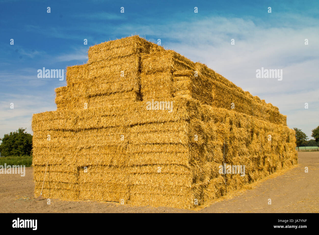 Stacked Hay Bales Stock Photo Alamy