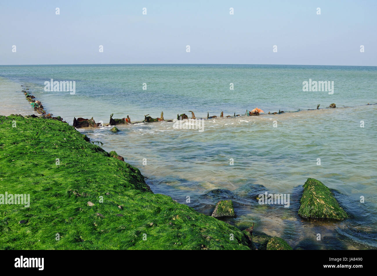 beach, seaside, the beach, seashore, water, north sea, salt water, sea, ocean, Stock Photo