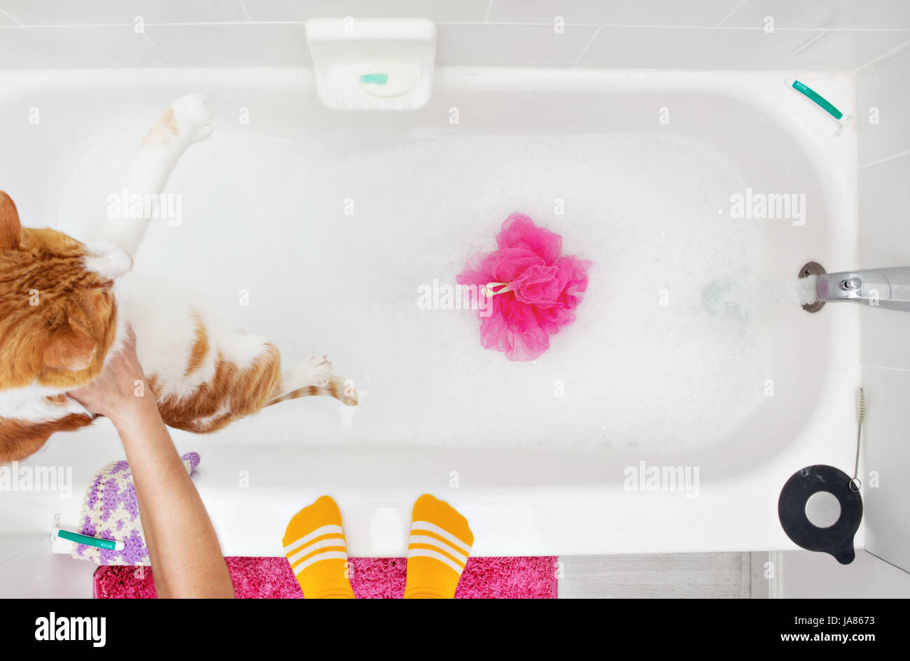 Orange cat being lowered into a bubble bath with water running. Stock Photo