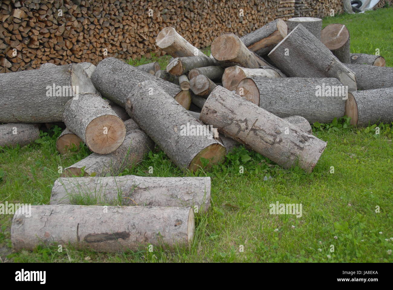 wood, branches, barn, wooden planks, tree, trees, wood, branches, moss