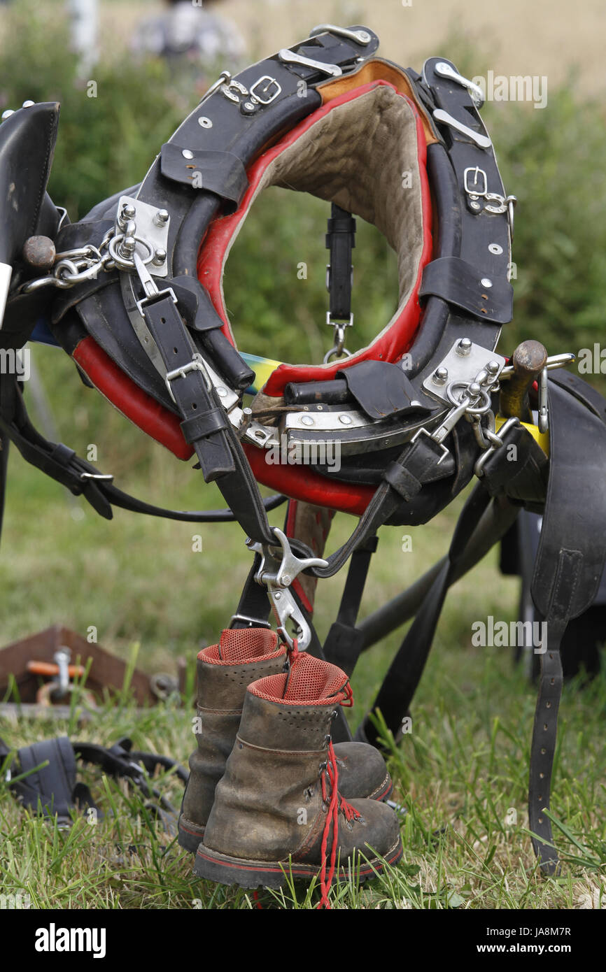 collar and co Stock Photo Alamy