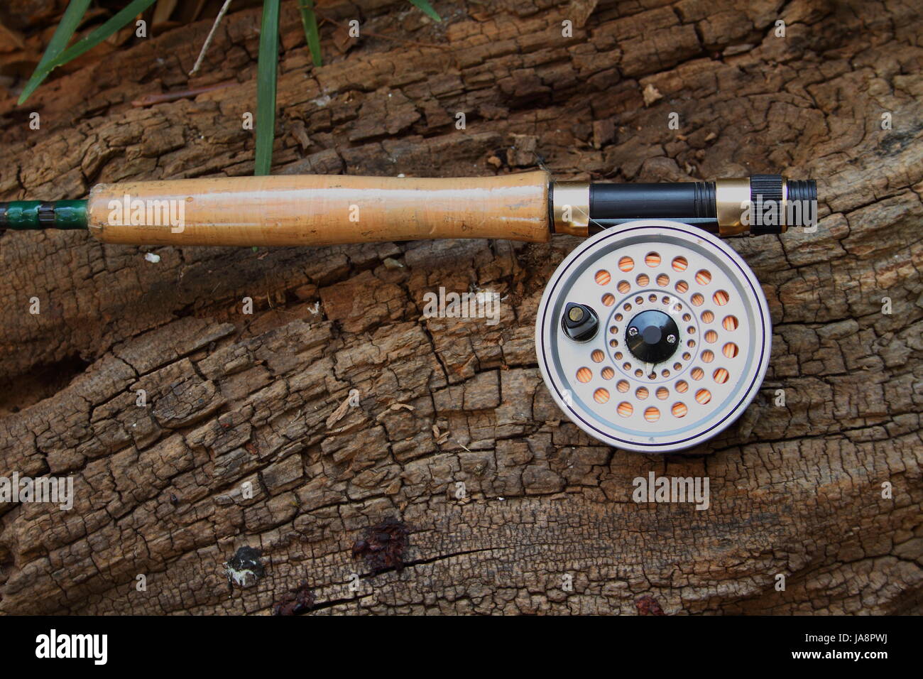 A fly fishing rod and reel on a log in the outdoors Stock Photo