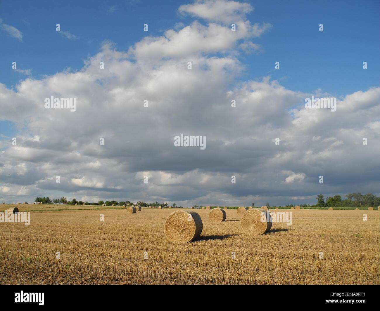 Simple Field Straw Prop field, straw ball, grain field, straw, scenery, countryside, nature ...