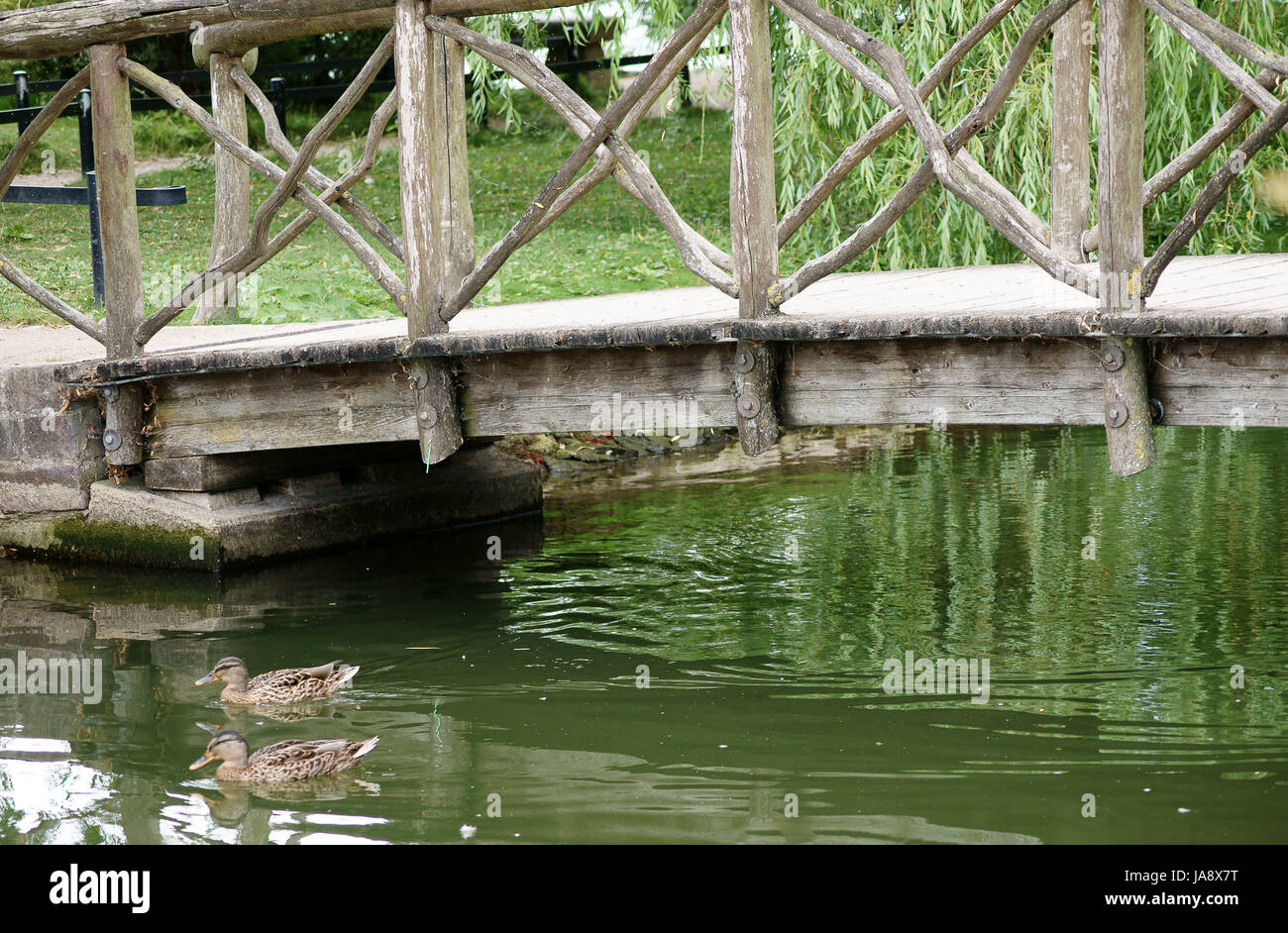waters, bridge, fresh water, pond, water, lake, inland water, scenery, Stock Photo