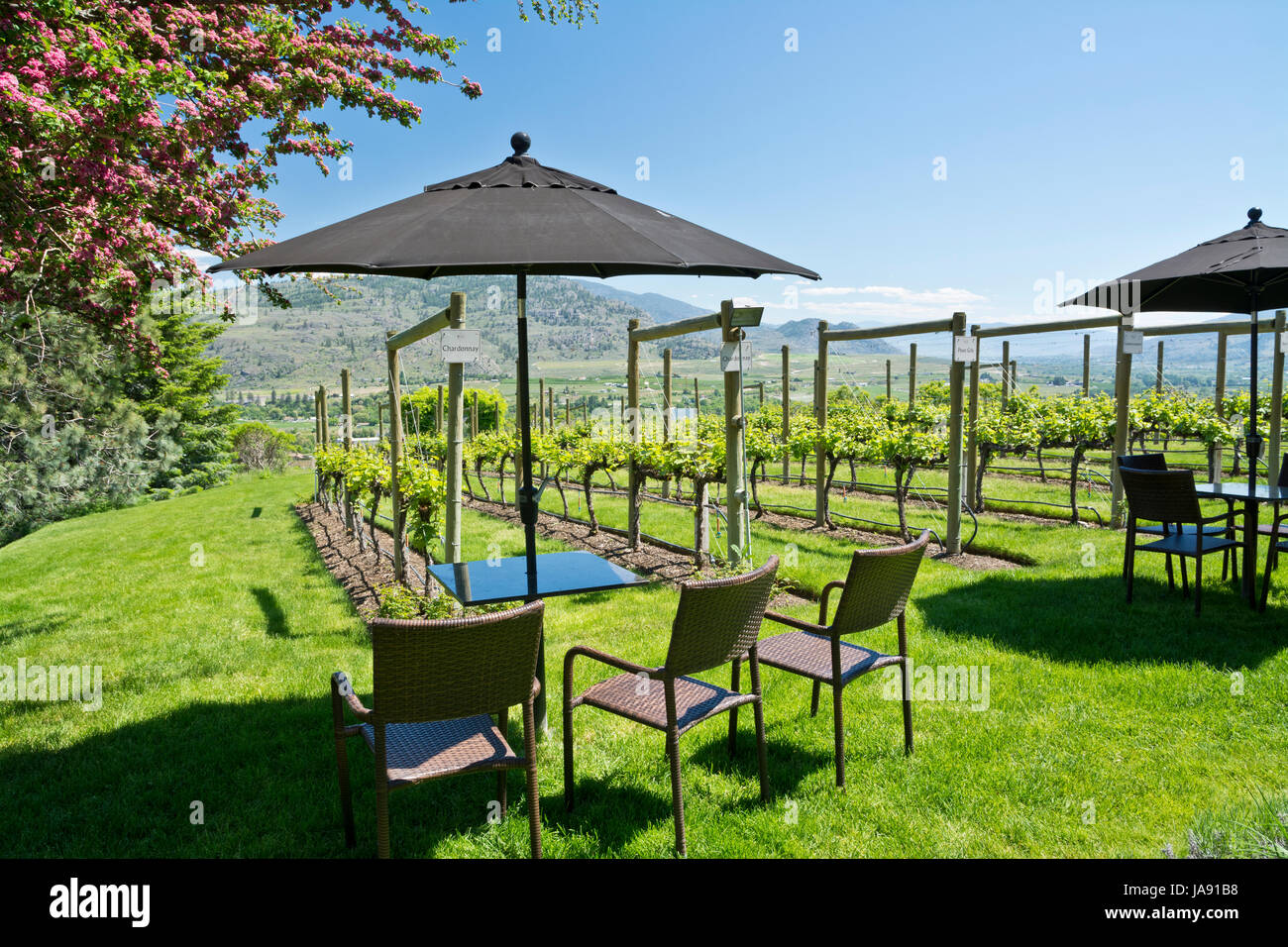 Patio Tables And Chairs At The Tinhorn Creek Winery In Oliver Bc