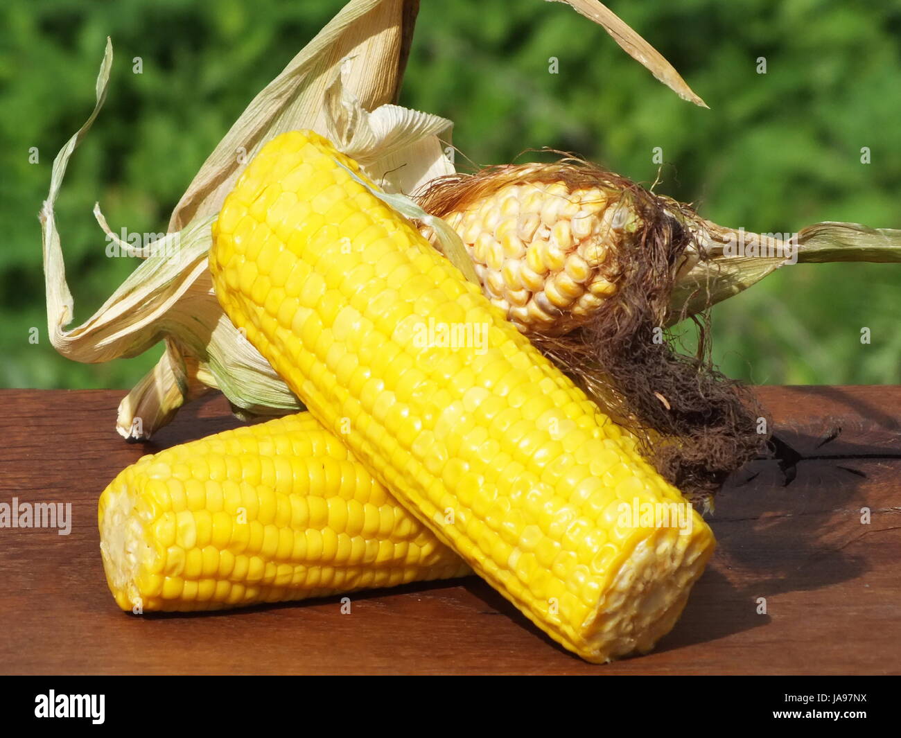food, aliment, sweet, american, agriculture, farming, summer, summerly