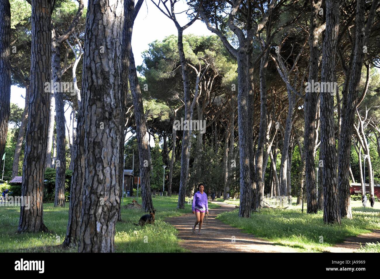 parco regionale migliarino san rossore