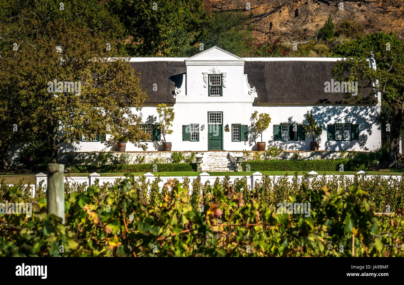Traditional white Cape Dutch style winery, with vineyard in foreground