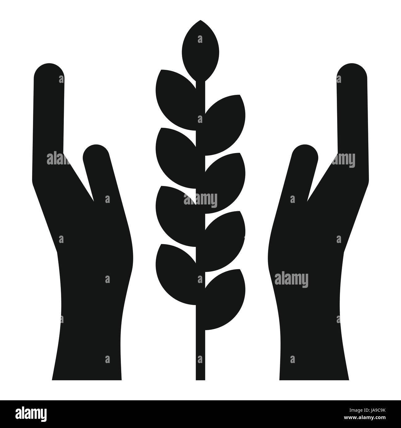 Hands and ear of wheat icon, simple style Stock Vector Image & Art - Alamy